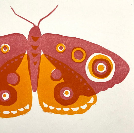 Moth print