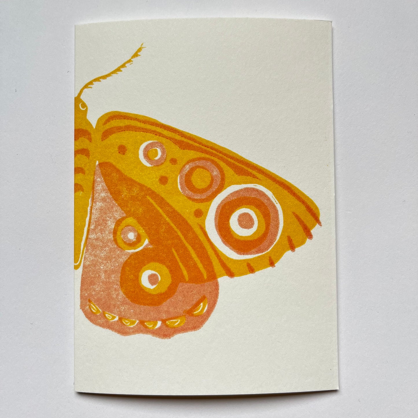 Moth Card