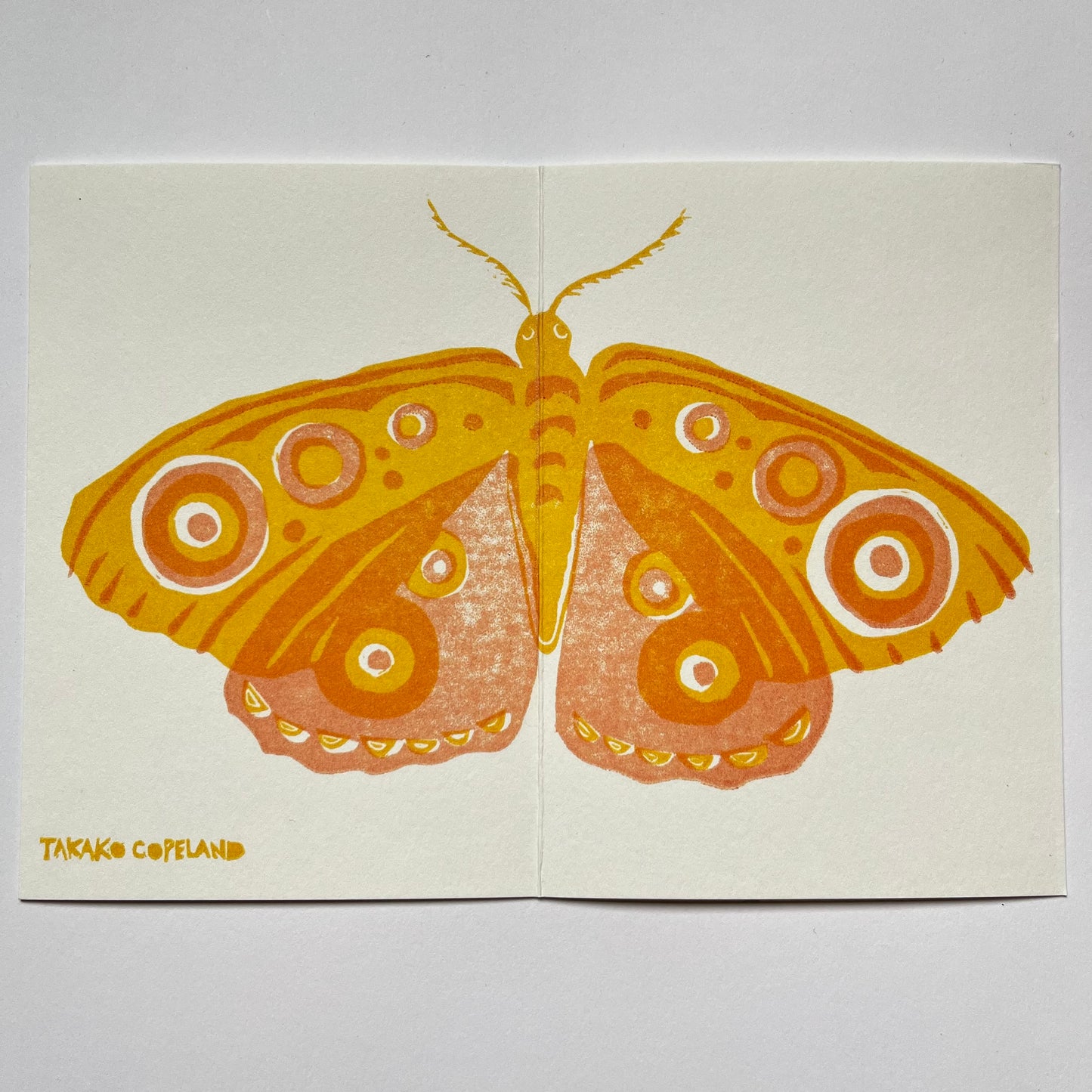 Moth Card